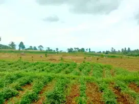 Jual Lahan Kebun pinggir jalan View Lepas Kota Bandung dan Pegunungan