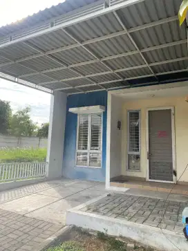 Disewakan Rumah Baru