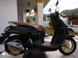 Honda Scoopy Prestige