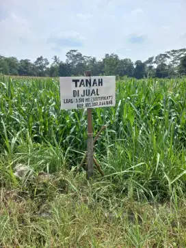 Tanah Pekarangan 3310m² Strategis Pinggir Jalan