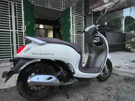 Dijual Honda Scoopy