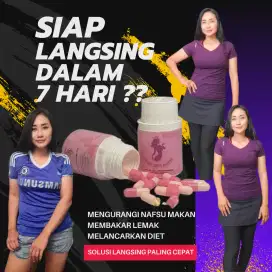 Pil Diet Pil Pelangsing buat yang BB nya susah Turun