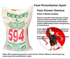 Pakan Ayam CP 594