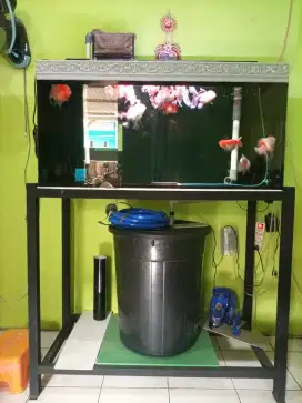 Aquarium full set beserta ikan