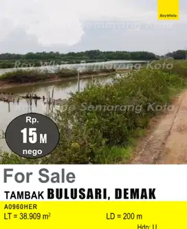 SHM 38,909m² Tambak ikan di Bulusan,Sayung Demak.