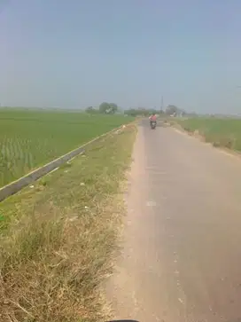 Tanah sawah pinggir jalan legon kulon pamanukan