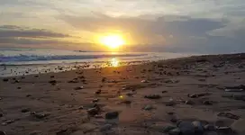 Dijual Tanah Los pantai Pulukan Medewi Jembrana