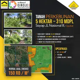 Tanah Perkebunan 5 Hektar 310 MDPL Sayap Jalan Nasional III Cipatat