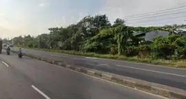 Jual Tanah Murah Strategis Pinggir Jalan Pantura Pemalang