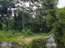 Tanah Permukiman di Boas Mojowarno, Jombang