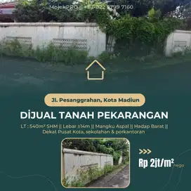 TANAH PEKARANGAN Dİ Dekat Jalan Salak Raya