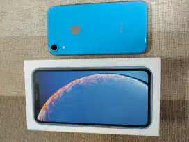 Iphone Xr 64gb Inter All Operator Second Bisa TT