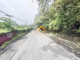 Tanah Daerah Kaban Jahe Dijual di Jalan Jamin Ginting - Karo