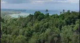 Bukit cocok untuk perkebunan durian / resort