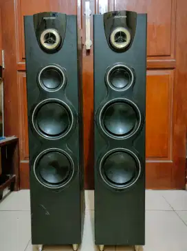 Speaker Polytron Pasif