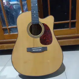 Skylark MAG-550CN Original Gitar Akustik Cutaway string