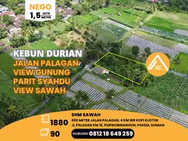 Tanah Kebun Durian Jalan Palagan Km 15 Parit Syahdu View Sawah Gunung