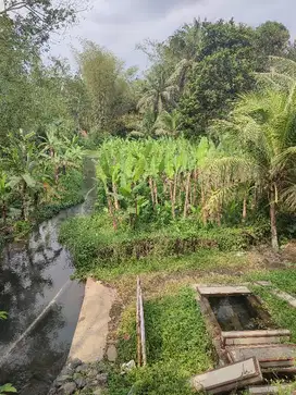 Tanah Kebun Pisang Samping Sungai Di Tajinan Malang