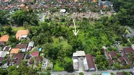 view sawah dan sungai ubud.