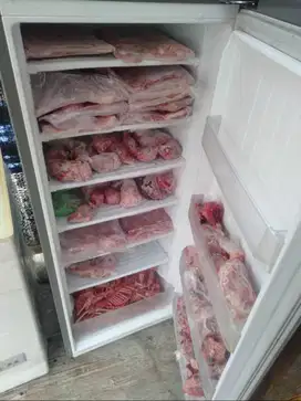 Daging Kelinci Karkas Fresh Daging Kelinci Frozen Daging Protein
