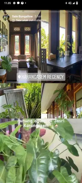 Di Jual Murah Bungalow Tengah Sawah Lumbung Subagan Karangasem BALI