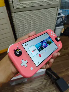 Nintendo switch lite