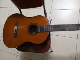 Guitar Yamaha CS40