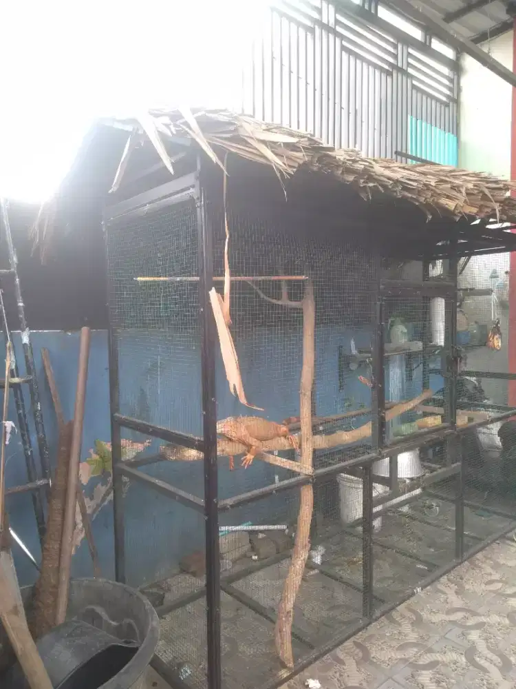 Jual kandang besar