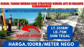 Dijual Tanah Murah strategis kebun jati di Karangmojo Gunungkidul