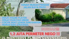 Jual Tanah Murah dan strategis mangku jalan provinsi Depan Pom Playen