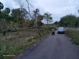 Dijual Tanah Berp[asir dekat Pantai Parangtritis dekat calon kelok 18