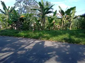 Jual tanah murah LT 1000m, girik, nempel jalan kabupaten