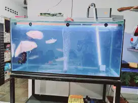 Aquarium ukuran 120cm