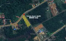 DIJUAL TANAH JALAN LINTAS SEKAYU – LUBUK LINGGAU MUARA BELITI