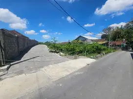 Tanah 353m2 di Padonan Canggu Badung Bali