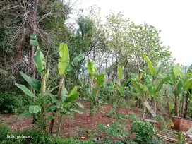 Kavling di pulesari mulawarman selatan tembalang