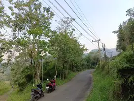 Tanah datar kebun jati nempel jalan kabupaten view pegunungan lepas