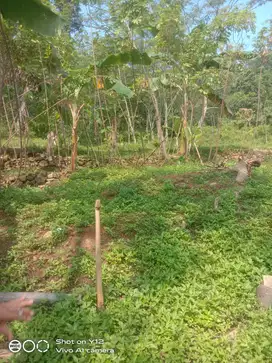 Tanah datar nempel jalan mobil view pegunungan lepas udara sejuk