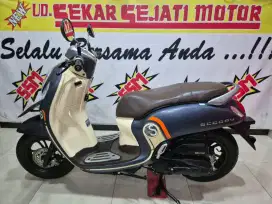 All new scooPy iss remot matte blue