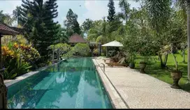 Dijual villa clasik view sawah dan sungai lokasi singapadu gianyar