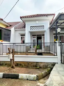 Di sewakan rumah di taman Yasmin bogor