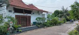 Rumah unik Joglo mungil