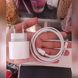 Charger iPhone Fast Charging