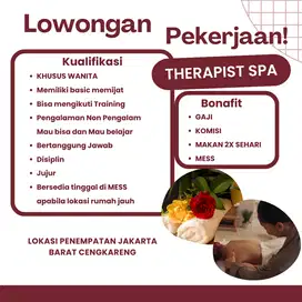 therapist Spa Massage