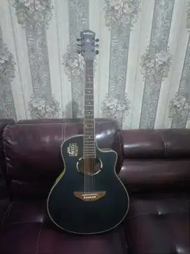 Gitar akustik elektrik merk Artcoustic