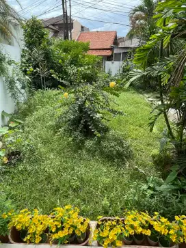 Perapihan Kebun - Potong Rumput kavlink