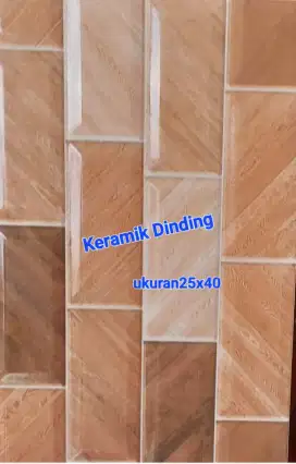 Keramik dinding 25x40