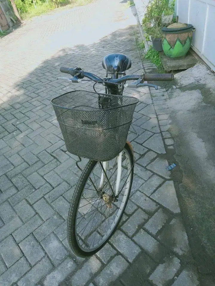 Sepeda Phoenix keranjang | untuk belanja sehat design