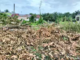 Dijual cepat... Tanah dalam kota pekanbaru