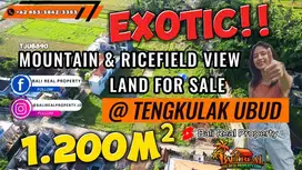 Under Market Price 1,200 sqm in Ubud close to Tegenungan Waterfall